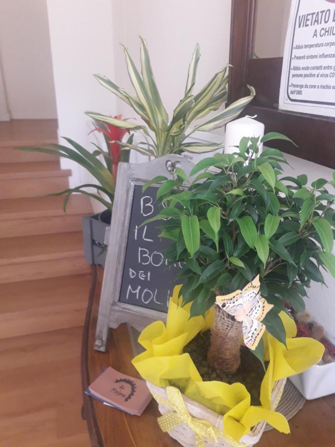 Bed and Breakfast Il Borgo Dei Molini Torreglia Zewnętrze zdjęcie
